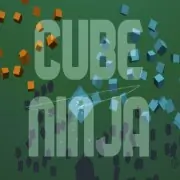 Cube Ninja